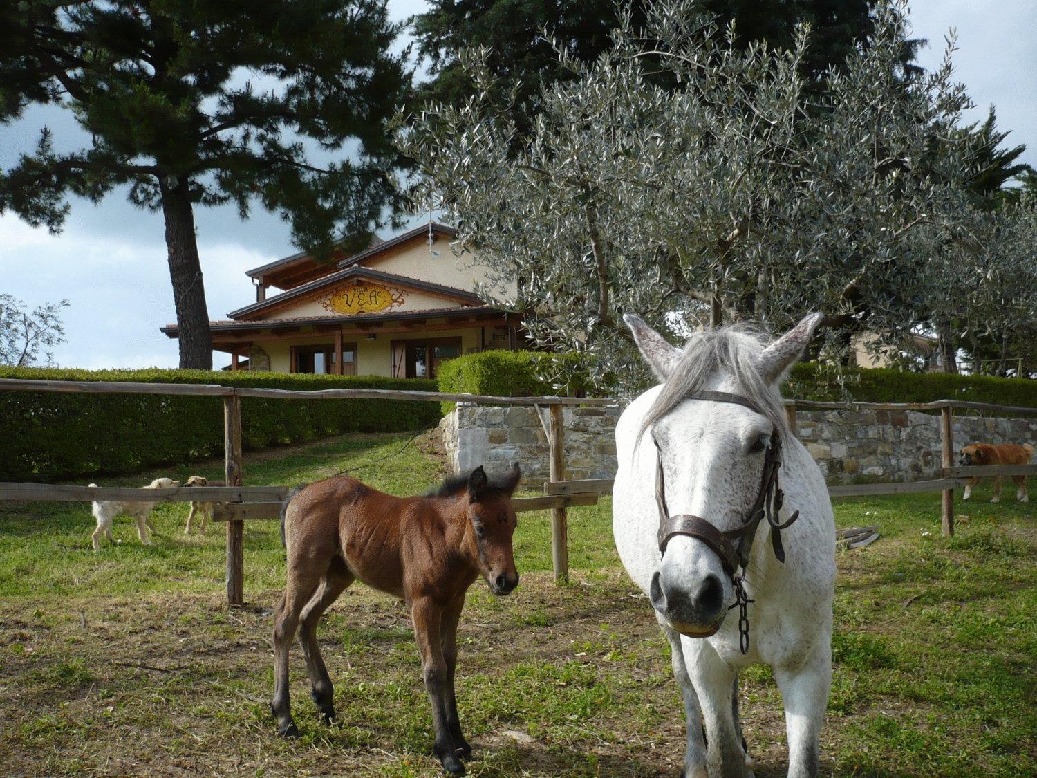 Bellosguardo Agriturismo Villa Vea מראה חיצוני תמונה