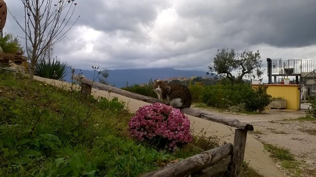 Bellosguardo Agriturismo Villa Vea מראה חיצוני תמונה